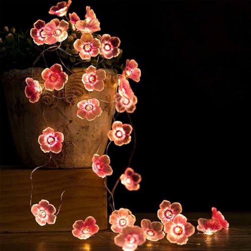 GoldRock Led Lichterkette Kirschblüten Deko, 2m 20 Led Cherry Blossom Lights,Lichterkette Blumen Innen Batterie Rot,Kawaii Japanische Deko,Kirschblüten Lichterketten für Frühling,Hochzeit,Wand,Zimmer GoldRock Led Lichterkette Kirschblüten Deko, 2m 20 Led Cherry Blossom Lights,Lichterkette Blumen Innen Batterie Rot,Kawaii Japanische Deko,Kirschblüten Lichterketten für Frühling,Hochzeit,Wand,Zimmer von GoldRock