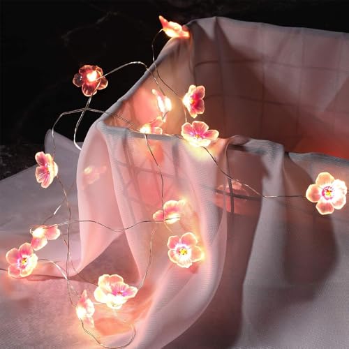GoldRock Led Lichterkette Kirschblüten Deko,2m 20 Led Cherry Blossom Lights,Lichterkette Blumen Innen Batterie Rosa,Kawaii Japanische Deko,Kirschblüten Lichterketten für Frühling,Hochzeit,Wand,Zimmer GoldRock Led Lichterkette Kirschblüten Deko,2m 20 Led Cherry Blossom Lights,Lichterkette Blumen Innen Batterie Rosa,Kawaii Japanische Deko,Kirschblüten Lichterketten für Frühling,Hochzeit,Wand,Zimmer von GoldRock