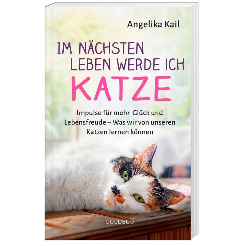 Im Nächsten Leben Werde Ich Katze. - Angelika Kail, Kartoniert (TB) von Goldegg