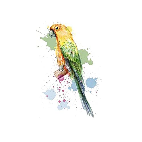 Goldkindzauber DIY Aufbuegler Patch Sticker Applikation Papagei Vogel Art Aufnaeher Kleidung Patches Zum Aufbügeln von Goldkindzauber