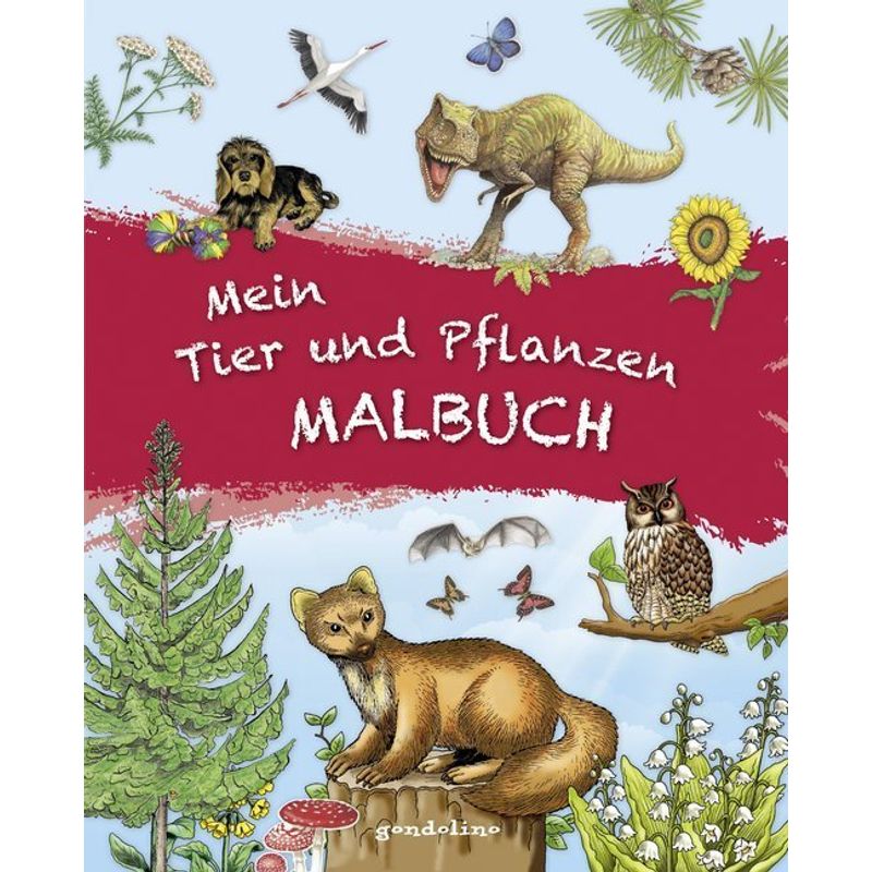 Mein Tier Und Pflanzen Malbuch, Kartoniert (TB) von Gondolino