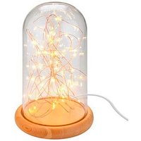 goobay LED Dekoleuchte transparent, 1 St. von Goobay