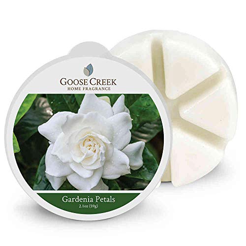 Goose Creek Candle® Gardenia Petals Wachsmelt 59g von Goose Creek Candle