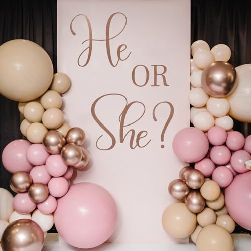 Er oder Sie Geschlecht Offenbaren Dekoration, Gender Reveal-Aufkleber Junge Oder Mädchen-Schild Gender Reveal-Hintergrund Aufkleber für Ballonbogen Babyparty Gender Reveal Party Dekorationen Er oder Sie Geschlecht Offenbaren Dekoration, Gender Reveal-Aufkleber Junge Oder Mädchen-Schild Gender Reveal-Hintergrund Aufkleber für Ballonbogen Babyparty Gender Reveal Party Dekorationen von Gosknor