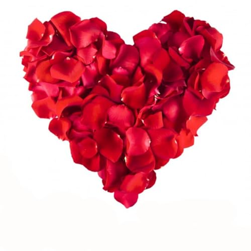 Gravidus Hochwertige 500 Rosenblätter aus Stoff für romantische Dekoration Valentinstag Hochzeit rot weiß Gravidus Hochwertige 500 Rosenblätter aus Stoff für romantische Dekoration Valentinstag Hochzeit rot weiß von Gravidus
