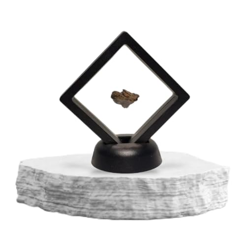 GreatGift - Original Meteorit - In Display -Al Haggounia 001 - Mit Zertifikat - ganz besonderes Geschenk - Raumstein - Edelstein GreatGift - Original Meteorit - In Display -Al Haggounia 001 - Mit Zertifikat - ganz besonderes Geschenk - Raumstein - Edelstein von GreatGift