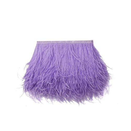GreatRise 10-15cm Breite Natürliche Straußenfedern Borte Flauschige Federborte mit Fransen Plüsch Feder Fringe Trim für Basteln DIY Handwerk Nähen Kleid Kostüme Dekoration Hellviolett 1m von GreatRise