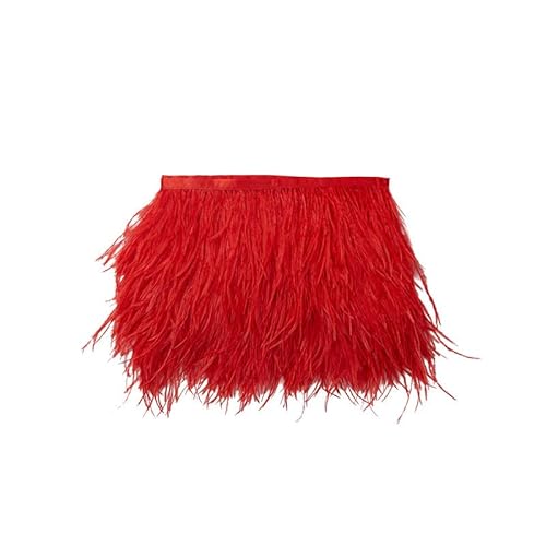 GreatRise 10-15cm Breite Natürliche Straußenfedern Borte Flauschige Federborte mit Fransen Plüsch Feder Fringe Trim für Basteln DIY Handwerk Nähen Kleid Kostüme Dekoration Rot 3m von GreatRise
