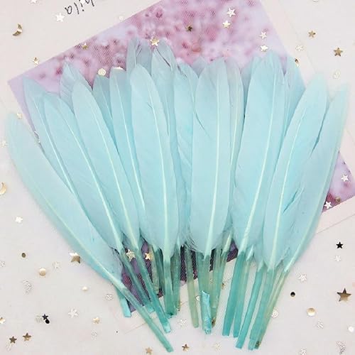 GreatRise 10-15cm Bunte Federn Natürliche Gänsefedern Federn zum Basteln Indianer Federn Dekoration Feder für DIY Handwerk Kostüme Hut Traumfänger Hochzeit Party Dekorationen Hellblau 50 Stück von GreatRise