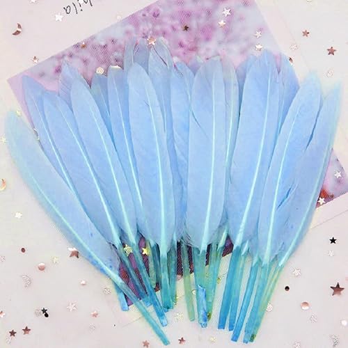 GreatRise 10-15cm Bunte Federn Natürliche Gänsefedern Federn zum Basteln Indianer Federn Dekoration Feder für DIY Handwerk Kostüme Hut Traumfänger Hochzeit Party Dekorationen Himmelblau 50 Stück von GreatRise