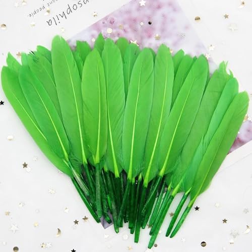 GreatRise 10-15cm Bunte Federn Natürliche Gänsefedern Federn zum Basteln Indianer Federn Dekoration Feder für DIY Handwerk Kostüme Hut Traumfänger Hochzeit Party Dekorationen Obst Grün 50 Stück GreatRise 10-15cm Bunte Federn Natürliche Gänsefedern Federn zum Basteln Indianer Federn Dekoration Feder für DIY Handwerk Kostüme Hut Traumfänger Hochzeit Party Dekorationen Obst Grün 50 Stück von GreatRise
