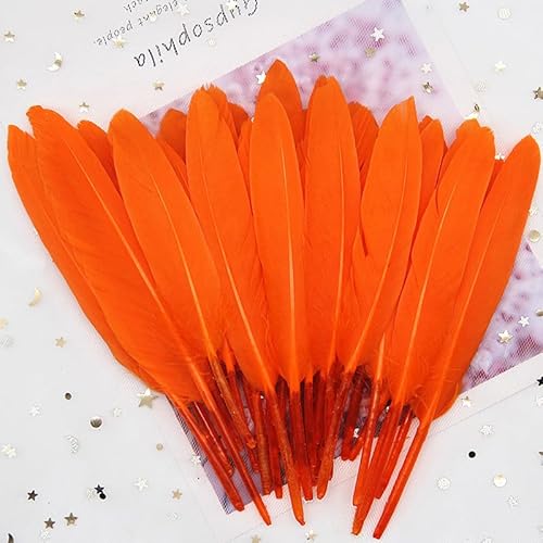 GreatRise 10-15cm Bunte Federn Natürliche Gänsefedern Federn zum Basteln Indianer Federn Dekoration Feder für DIY Handwerk Kostüme Hut Traumfänger Hochzeit Party Dekorationen Orange 50 Stück von GreatRise