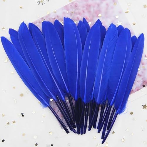 GreatRise 10-15cm Bunte Federn Natürliche Gänsefedern Federn zum Basteln Indianer Federn Dekoration Feder für DIY Handwerk Kostüme Hut Traumfänger Hochzeit Party Dekorationen Saphirblau 50 Stück von GreatRise