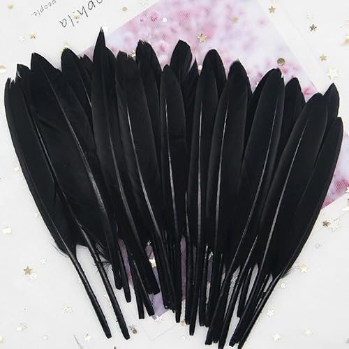 GreatRise 10-15cm Bunte Federn Natürliche Gänsefedern Federn zum Basteln Indianer Federn Dekoration Feder für DIY Handwerk Kostüme Hut Traumfänger Hochzeit Party Dekorationen Schwarz 50 Stück von GreatRise