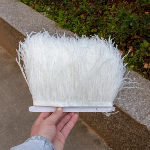 GreatRise 1m Natürlichen Straußenfedern Borte Plüsch Federband Federborte zum Basteln Federn Fringe Trim Fransen mit Satinband für DIY Nähen Hut Kleidung Kostüme Dekoration Beige#1 10-13cm GreatRise 1m Natürlichen Straußenfedern Borte Plüsch Federband Federborte zum Basteln Federn Fringe Trim Fransen mit Satinband für DIY Nähen Hut Kleidung Kostüme Dekoration Beige#1 10-13cm von GreatRise