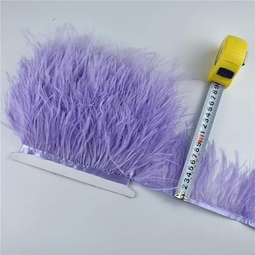 GreatRise 1m Natürlichen Straußenfedern Borte Plüsch Federband Federborte zum Basteln Federn Fringe Trim Fransen mit Satinband für DIY Nähen Hut Kleidung Kostüme Dekoration Lila 8-10cm GreatRise 1m Natürlichen Straußenfedern Borte Plüsch Federband Federborte zum Basteln Federn Fringe Trim Fransen mit Satinband für DIY Nähen Hut Kleidung Kostüme Dekoration Lila 8-10cm von GreatRise