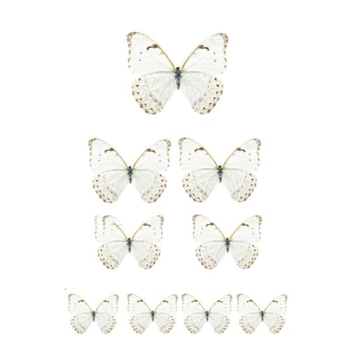 GreatRise 20 Stück 3D Schmetterling Kuchen Torten Deko Set zum DIY Dreidimensional Tortendeko Geburtstag Kuchendeko Tortenaufleger für Party Taufe Hochzeitstorte Dessert Cupcake Toppers #7 Creme-Weiß von GreatRise
