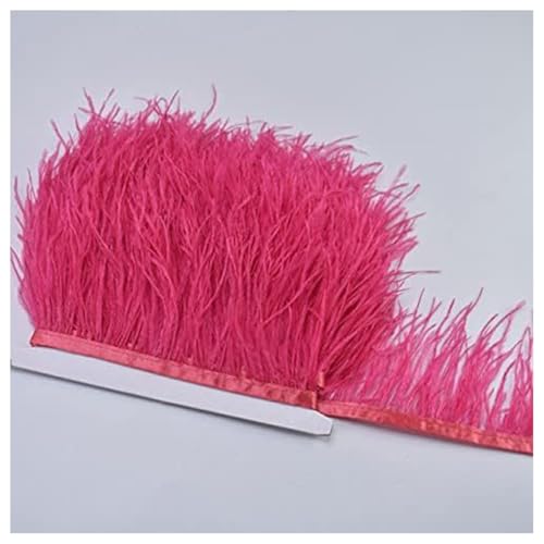 GreatRise 8-10cm Natürliche Straußenfedern Borte Plüsch Federborte Federband zum Basteln Feder Fringe Trim Feder Fransen Band für DIY Handwerk Nähen Hut Kleid Kostüme Dekoration Wassermelonenrot 1m GreatRise 8-10cm Natürliche Straußenfedern Borte Plüsch Federborte Federband zum Basteln Feder Fringe Trim Feder Fransen Band für DIY Handwerk Nähen Hut Kleid Kostüme Dekoration Wassermelonenrot 1m von GreatRise