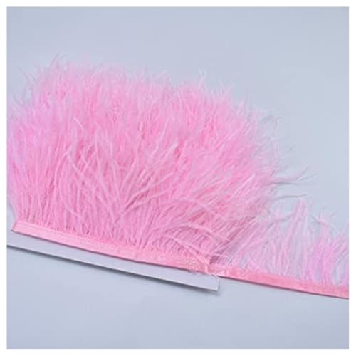 GreatRise 8-10cm Natürliche Straußenfedern Borte Plüsch Federborte Federband zum Basteln Feder Fringe Trim Feder Fransen Band für DIY Handwerk Nähen Hut Kleid Kostüme Dekoration Helles Rosa 1m GreatRise 8-10cm Natürliche Straußenfedern Borte Plüsch Federborte Federband zum Basteln Feder Fringe Trim Feder Fransen Band für DIY Handwerk Nähen Hut Kleid Kostüme Dekoration Helles Rosa 1m von GreatRise