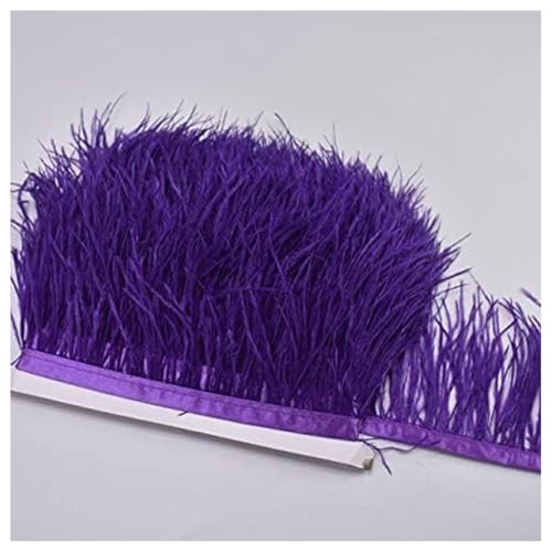 GreatRise 8-10cm Natürliche Straußenfedern Borte Plüsch Federborte Federband zum Basteln Feder Fringe Trim Feder Fransen Band für DIY Handwerk Nähen Hut Kleid Kostüme Dekoration Lila 1m GreatRise 8-10cm Natürliche Straußenfedern Borte Plüsch Federborte Federband zum Basteln Feder Fringe Trim Feder Fransen Band für DIY Handwerk Nähen Hut Kleid Kostüme Dekoration Lila 1m von GreatRise