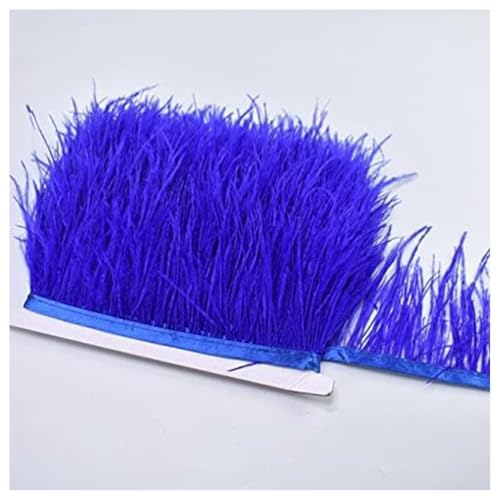 GreatRise 8-10cm Natürliche Straußenfedern Borte Plüsch Federborte Federband zum Basteln Feder Fringe Trim Feder Fransen Band für DIY Handwerk Nähen Hut Kleid Kostüme Dekoration Saphirblau 1m GreatRise 8-10cm Natürliche Straußenfedern Borte Plüsch Federborte Federband zum Basteln Feder Fringe Trim Feder Fransen Band für DIY Handwerk Nähen Hut Kleid Kostüme Dekoration Saphirblau 1m von GreatRise