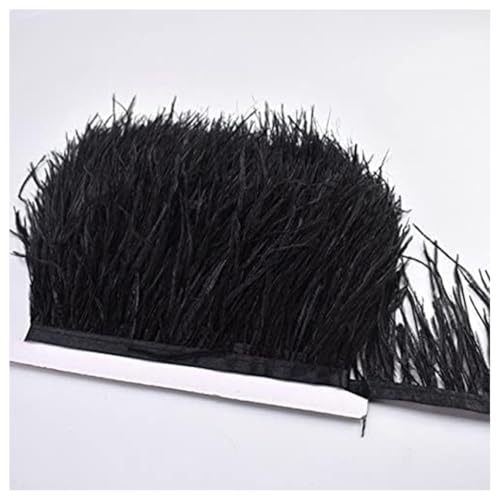 GreatRise 8-10cm Natürliche Straußenfedern Borte Plüsch Federborte Federband zum Basteln Feder Fringe Trim Feder Fransen Band für DIY Handwerk Nähen Hut Kleid Kostüme Dekoration Schwarz 2m GreatRise 8-10cm Natürliche Straußenfedern Borte Plüsch Federborte Federband zum Basteln Feder Fringe Trim Feder Fransen Band für DIY Handwerk Nähen Hut Kleid Kostüme Dekoration Schwarz 2m von GreatRise