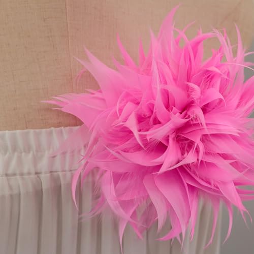 GreatRise Elegant Feder Brosche Natürliche Feder Brosche Flauschige Feder Ansteckbrosche Vintage Damen Boutonniere für Kleid Kleidung Hut Dekorative Pin Bekleidungs Party Schmuck Rosa GreatRise Elegant Feder Brosche Natürliche Feder Brosche Flauschige Feder Ansteckbrosche Vintage Damen Boutonniere für Kleid Kleidung Hut Dekorative Pin Bekleidungs Party Schmuck Rosa von GreatRise