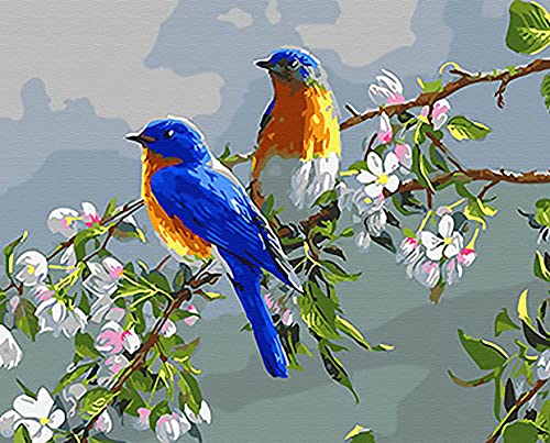 Grebesty DIY Malen nach Zahlen Kits für Erwachsene Anfänger Bluebirds, Farben auf Leinwand für Kunst-Wand-Dekor 40x50cm von Grebesty