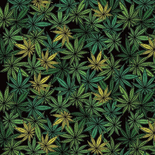 Geschenkpapier, Marihuana-Motiv, 2 Bögen, 7,5 m² von Green Card Greetings