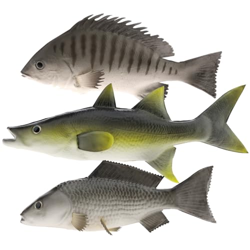 Gresorth 3 Stück Fälschung Fisch vorgeben Künstlich Karpfen Lebensecht Ornament Hängend zum Zuhause Garten Küche Spielzeug Dekoration Gresorth 3 Stück Fälschung Fisch vorgeben Künstlich Karpfen Lebensecht Ornament Hängend zum Zuhause Garten Küche Spielzeug Dekoration von Gresorth