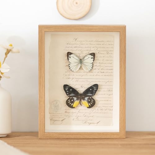 Grewod 21x30 cm Bilderrahmen A4, Holz 5cm, Fotorahmen MDF, Rechteck, Holzrahmen zum Vertikalen oder Horizontalen, zum Aufstellen Grewod 21x30 cm Bilderrahmen A4, Holz 5cm, Fotorahmen MDF, Rechteck, Holzrahmen zum Vertikalen oder Horizontalen, zum Aufstellen von Grewod
