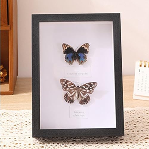 Grewod Bilderrahmen für Bilder 30x40 cm, Schwarz Tief 3cm, Fotorahmen aus Holz MDF, Rechteck, Vertikalen oder Horizontalen für Tisch Grewod Bilderrahmen für Bilder 30x40 cm, Schwarz Tief 3cm, Fotorahmen aus Holz MDF, Rechteck, Vertikalen oder Horizontalen für Tisch von Grewod