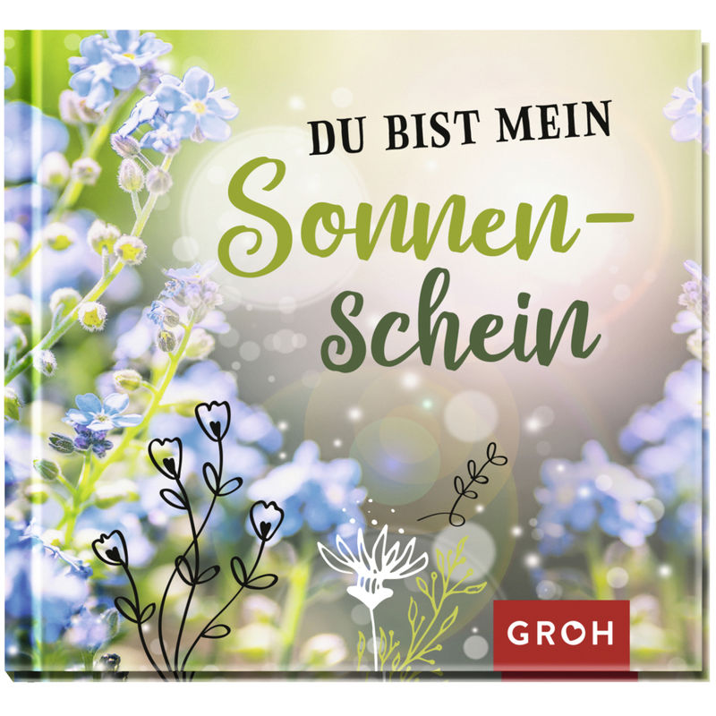 Du Bist Mein Sonnenschein - Groh Verlag, Gebunden von Groh Verlag