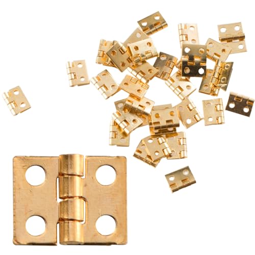 Grtheenumb 50pcs Dollhouse Scharniere und Schrauben Set, kleine Scharniere für Puppenhaus 1/12 Miniatur -Tür Miniatur für DIY Dollhouse Handwerk und Schrauben von Grtheenumb