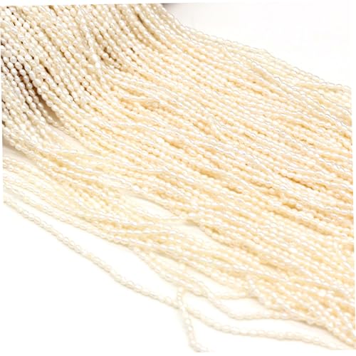 Perlenperlen, natürliche Mini-Süßwasserperlen kleine Reisform kultivierte Süßwasserperlen Perlen 1,8-2 mm Perlenperlen für Schmuck DIY Bastelhalsketten Armbänder Ohrringe Perlen Perlen Perlen Perlen Perlenperlen, natürliche Mini-Süßwasserperlen kleine Reisform kultivierte Süßwasserperlen Perlen 1,8-2 mm Perlenperlen für Schmuck DIY Bastelhalsketten Armbänder Ohrringe Perlen Perlen Perlen Perlen von Grtheenumb