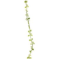 Blättergirlande "Pinula" von Grün
