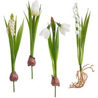 Frühjahrsblumen Mix mit Zwiebel Frühjahrsblumen Mix mit Zwiebel von DPI