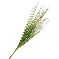 Gras mit Fruchtstand Gras mit Fruchtstand von DPI