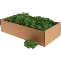Islandmoos, 400 g - Dunkelgrün von Othmar Decorations