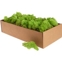 Islandmoos, 400 g - Hellgrün von Othmar Decorations