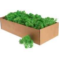 Islandmoos, 400 g - Maigrün von Othmar Decorations