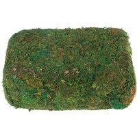 VBS Moos, 750 g VBS Moos, 750 g von VBS XXL