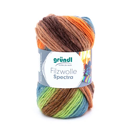 Gründl Filzwolle Spectra, (OEKO-TEX zertifiziert, 100 % Schurwolle zum Filzen, 100 g / 100 m, 1 Knäuel á 100 g), amazonas multicolor von Gründl