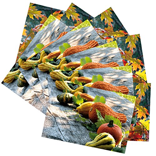 10 hochwertige Grußkarten "Herbst IV", 5 Postkarten + 5 Klappkarten/Faltkarten inkl. Umschlag/Kuvert (2 Motive - Grüße von Herzen) Herbst, Blätter, Kürbis von Grüße von Herzen