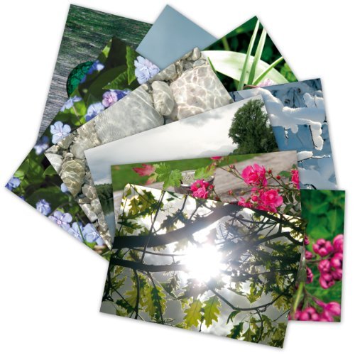 10 hochwertige Grußkarten "Mix II", 5 Postkarten + 5 Klappkarten/Faltkarten inkl. Umschlag/Kuvert (10 Motive - Grüße von Herzen) Seesteg, Herz, Blumen/Blüten, Sonnenlicht von Grüße von Herzen