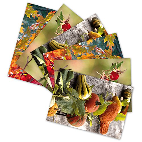 6 hochwertige Grußkarten "Herbst II", 6 Klappkarten/Faltkarten inkl. Umschlag/Kuvert (3 Motive - Grüße von Herzen) Blätter, Hagebutten, Kürbisse von Grüße von Herzen