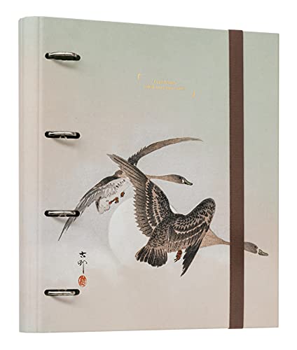 Grupo Erik Ringordner - Ordner A4 Japan - Japanische Kunst Aktenordner 4 Ringe - Ringbuch DIN A4 - Ordner für Ihre Dokumente, die Schule, die Ausbildung oder das Studium Grupo Erik Ringordner - Ordner A4 Japan - Japanische Kunst Aktenordner 4 Ringe - Ringbuch DIN A4 - Ordner für Ihre Dokumente, die Schule, die Ausbildung oder das Studium von Grupo Erik
