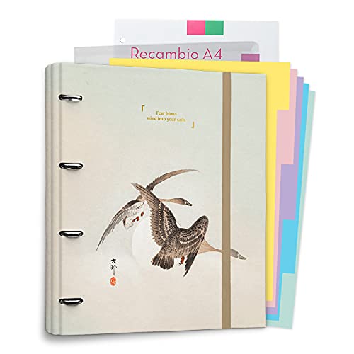 Grupo Erik Ringbuch A4 - Ringordner Japan - Ordner Set mit Trennblättern - Beige Trennblätter für Ordner A4 Grupo Erik Ringbuch A4 - Ringordner Japan - Ordner Set mit Trennblättern - Beige Trennblätter für Ordner A4 von Grupo Erik