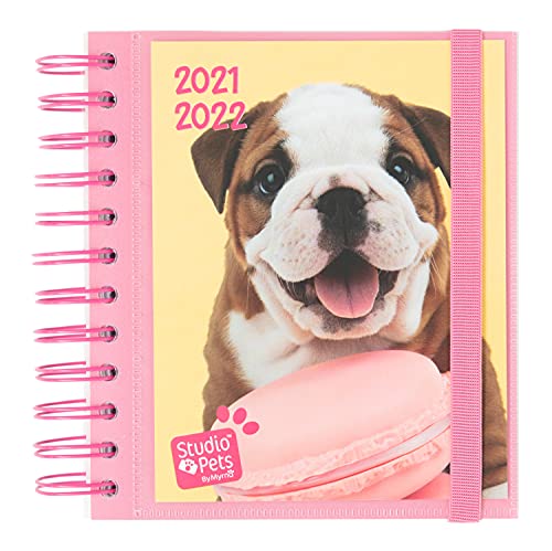 Grupo Erik Schulplaner 2021 2022 Studio Pets Hund - Ringbuch Kalender 2021-2022 - Terminkalender 2021 2022 Tagesplaner Terminplaner von Grupo Erik
