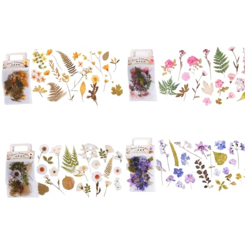 160 Stück Blumen Scrapbooking Aufkleber Set,Pet Blumen Aufkleber Pflanzen Sticker, Vintage Flowers Scrapbook Stickers Für Scrapbook Fotoalbum Sammelalbum Laptops Handwerk 160 Stück Blumen Scrapbooking Aufkleber Set,Pet Blumen Aufkleber Pflanzen Sticker, Vintage Flowers Scrapbook Stickers Für Scrapbook Fotoalbum Sammelalbum Laptops Handwerk von Gsedaox